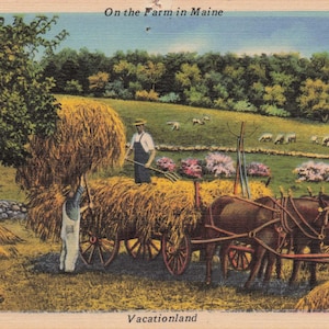 Maine: cartolina d'epoca "Nella fattoria nel Maine": il fascino di una vacanza!