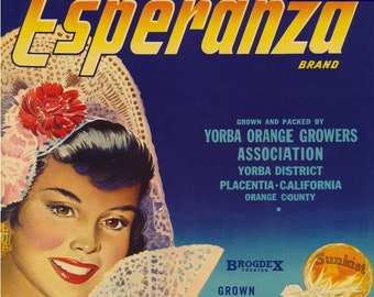 Caisse d'oranges californienne vintage, étiquette : marque Esperanza, Yorba, vers 1930