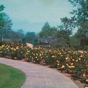 Califórnia: Cartão postal antigo dos Jardins Descanso em La Canada, sul da Califórnia, por volta de 1930.