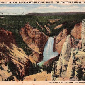Wyoming: Vintage 1947 Yellowstone Postcard – Lower Falls from Moran Point