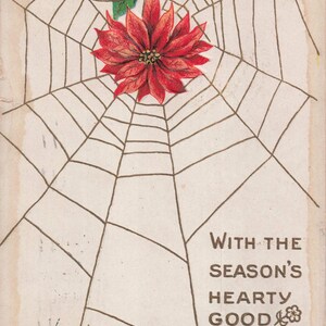 Carte postale de Noël ancienne et originale – Poinsettia sur toile d’araignée