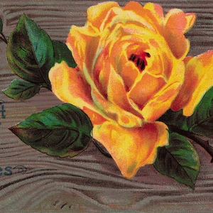 Best Wishes: Antike beste Wünsche Postkarte mit gelber Rose - Serie 514