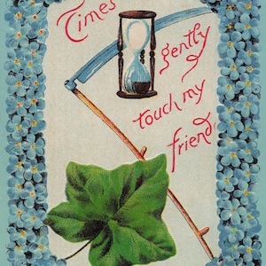 Carte Postale Ancienne 1910 – "Le temps touche doucement mon ami" – Fleurs Myosotis & Symbolisme