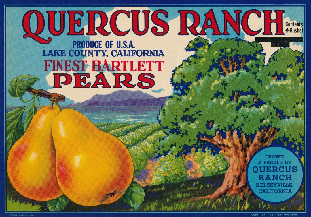 California Antique Fruit Crate Label From Quercus Ranch Bartlett Pears
