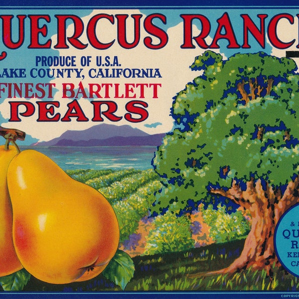 California: Antique Fruit Crate Label From Quercus Ranch Bartlett Pears in Kelseyville of Lake County California Circa 1927.