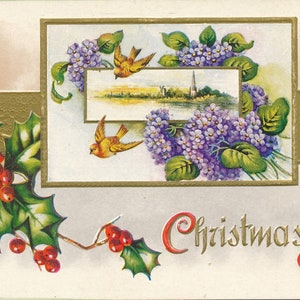 Natale: affascinante cartolina natalizia antica con agrifoglio e uccelli - inizio '900 circa