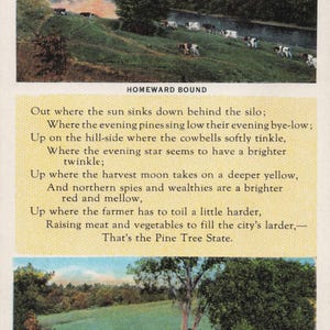 Maine: Antica cartolina del Maine - "The Pine Tree State" con poesia e paesaggio rurale - Arte CT vintage anni '40 colorata