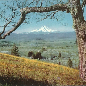 Oregon: Cartão postal antigo do Monte Hood e do Vale do Rio Hood. Este cartão postal do Monte Hood, Oregon, é da década de 1950.