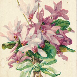Liebe Grüße: Charmante 1907 ""Viele glückliche Wiederkehr"" Vintage Geburtstagspostkarte mit Blumenstrauß."