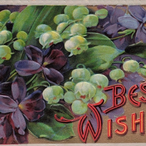 Carte Postale Vintage "Best Wishes" – Muguet et Violettes en Relief