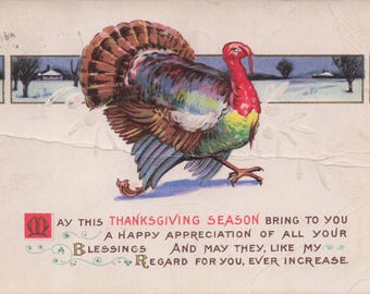 Antique Thanksgiving Postcard – Colorful Turkey with Scenic Winter Landscape, Early 1900s