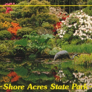 Oregon: cartolina d'epoca dello Shore Acres State Park vicino a Coos Bay, Oregon. Questa cartolina d'epoca dell'Oregon risale agli anni '80 circa.