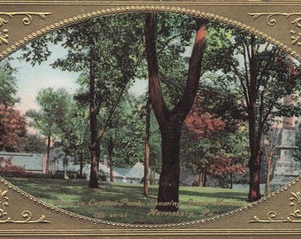 Pennsylvania: Antique Harrisburg PA Capitol Park Postcard - Early 1900s Embossed Greetings