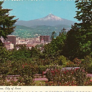 Oregon: Cartão postal vintage do Jardim de Teste de Rosas de Portland com o Monte Hood ao fundo. Este cartão postal de Portland, Oregon, é de aproximadamente 1972.