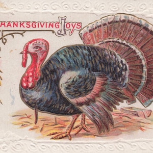 Thanksgiving: "Antieke Thanksgiving-briefkaart - Turkije en maïs met reliëf, verzonden in 1912 - Vintage verzamelobject Thanksgiving"