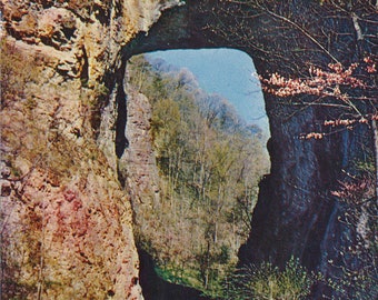 Virginia: Vintage Postcard of The Natural Bridge of Virginia South of Lexington on Route 11. This Virginia Postcard Card is Circa 1950.