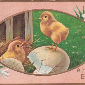 Carte postale vintage de Pâques - Poussins avec coquille d'œuf et accents floraux (1913)