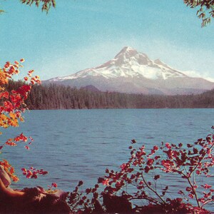 オレゴン州：オレゴン州北西部の美しい紅葉に囲まれたフッド山のヴィンテージポストカード。このヴィンテージポストカードは1940年頃のものです。