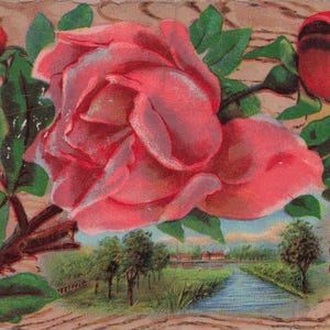Antike "Best Wishes" Postkarte – Romantische Rosen & Landschaftsidylle!