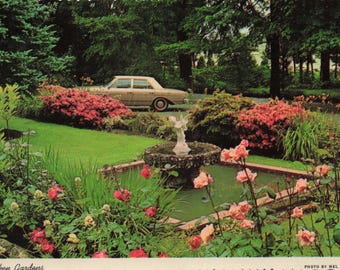 Vintage ansichtkaartencollectie Oregon Coast & Gardens Schilderachtige watervallen, kustlandschappen - Lush Northwest Gardens
