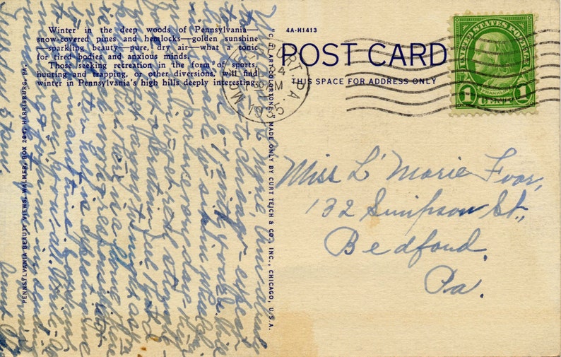 Vintage Linen Postcard of Winter in the Deep Woods of the Alleghenies in the Mountains of Pennsylvania This Postcard is Circa 1935.
