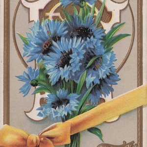 Carte postale ancienne « Fleur de bleuet – Symbole de constance  Éphémère florale du début des années 1900