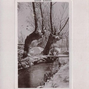 Tarjeta Postal de Navidad Vintage - "Sol de Invierno"