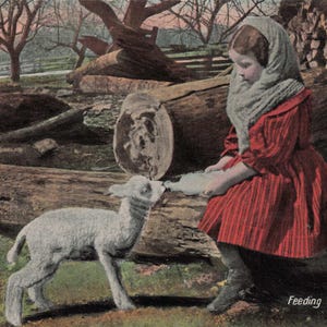 Nouveauté : carte postale vintage « Nourrir le petit orphelin » - Adorable charme rustique !