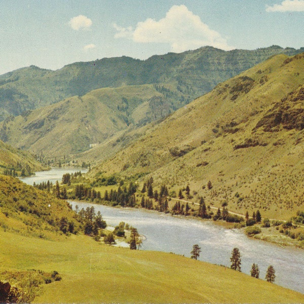 Oregon: Vintage Postcard of The Snake River in Oregon and Idaho. This Vintage Oregon and Idaho Postcard is Circa the 1950's.