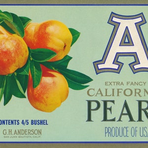 California: Antique Fruit Crate Label From &quot;A&quot; Brand Extra Fancy Bartlett Pears in San Juan Bautista California Circa the 1920&#39;s.