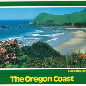 Oregon: cartolina d'epoca con spettacolari fioriture estive sulla costa dell'Oregon. Questa cartolina della costa dell'Oregon risale al 1980 circa.