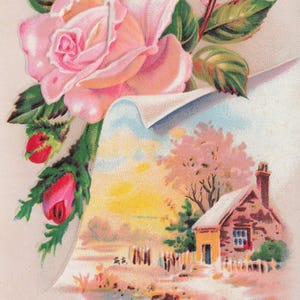 Meilleurs voeux : roses roses anciennes et carte postale scène de maison de campagne