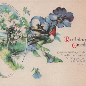Carte Postale Ancienne "Salutations d'Anniversaire" avec Colibri et Fleurs - Carte Vintage des Années 1900 - Fabriquée aux États-Unis