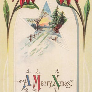 Tarjeta Postal Antigua de Navidad – Diseño en Relieve de Nochebuena  Vintage Ephemera  Envío Gratis a Todo el Mundo!