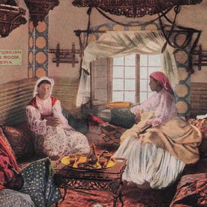 Carte Postale Vintage de Salle de Séjour Turque - Algérie