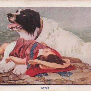 Nouveauté : carte postale vintage réconfortante « sauvée » représentant un fidèle chien de sauvetage