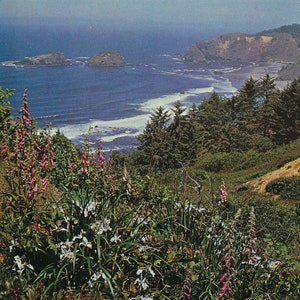 Oregon : ancienne carte postale du parc d'état de Boardman sur la côte de l'Oregon. Cette carte postale de la côte de l'Oregon date d'environ 1970.