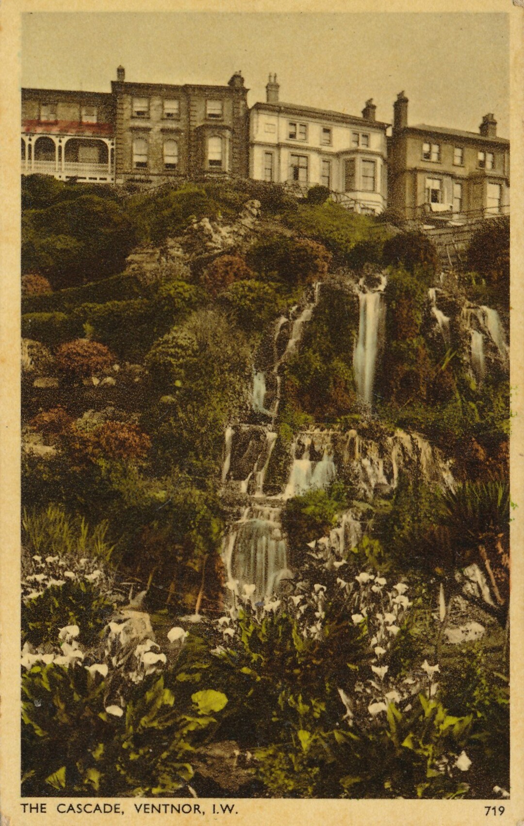 World Charming Antique Postcard Of The Cascade Ventnor Isle Of Wight World Charming Antique Postcard Of The Cascade Ventnor Isle Of Wight