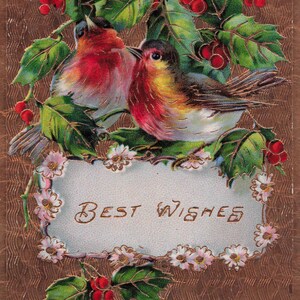 Carte Postale Ancienne 1913 "Best Wishes" – Oiseaux et Houx en Relief