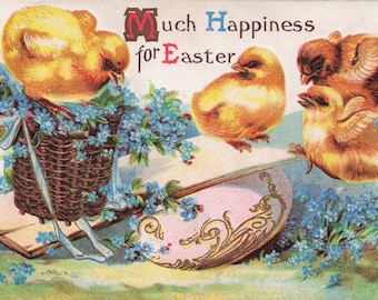 Antique 1911 Easter Postcard – “Much Happiness for Easter” | Adorable Chicks, Forget-Me-Nots & Decorated Egg