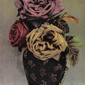 Carte Postale Ancienne "Best Wishes" avec Roses | Gaufrée | Fabriquée en Allemagne | Datée des années 1910