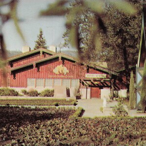Californie : ancienne carte postale de la colonie suisse italienne - Salle de dégustation de vins, Asti, Californie
