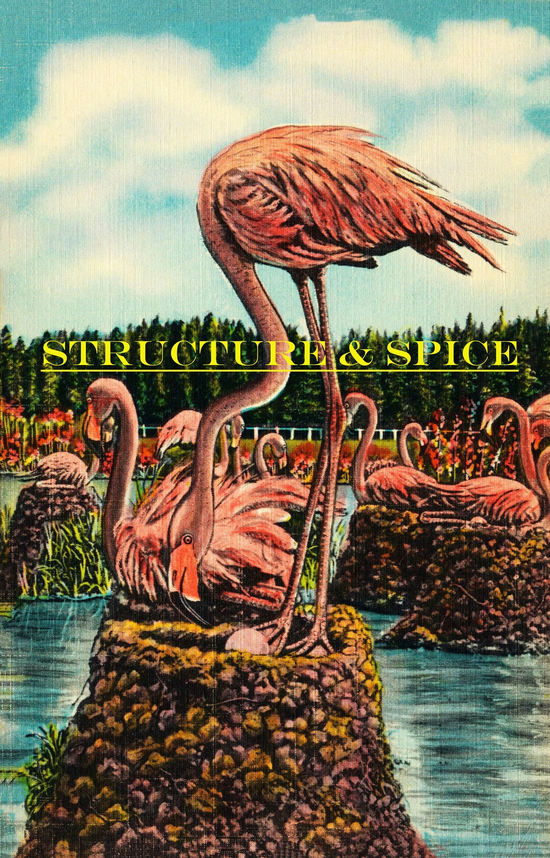 Florida DIGITAL Library Vintage Postcard of Flamingos in Etsy