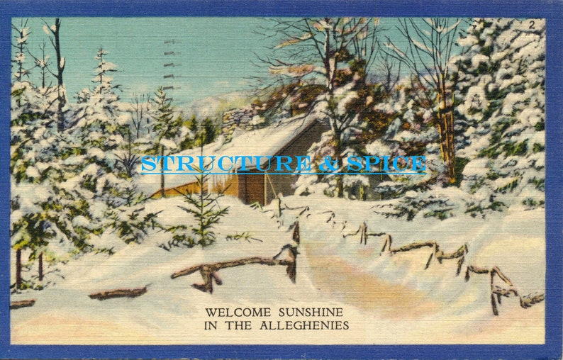 Vintage Linen Postcard of Winter in the Deep Woods of the Alleghenies in the Mountains of Pennsylvania This Postcard is Circa 1935.