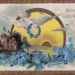 Carte Postale Ancienne 1913 – “With All Good Wishes” – Colombes, Coucher de Soleil & Myosotis