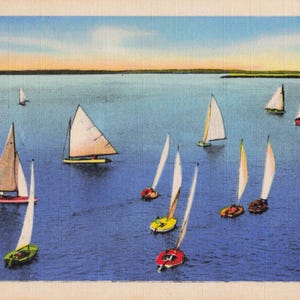 Carte postale vintage de voilier – Scène de régate à la voile Art-Colortone Curt Teich