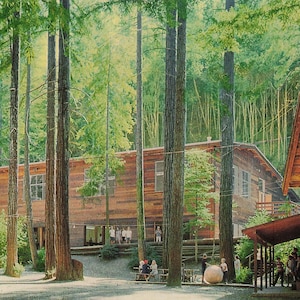Carte Postale Vintage Alliance Redwoods (Années 1970) - Camp Meeker, Californie - Région de Russian River - Livraison Gratuite & Retours