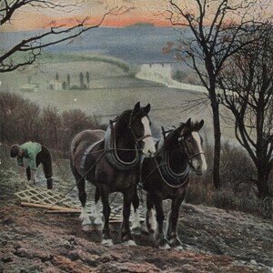 Nouveauté : carte postale ancienne « Une vie rurale pénible » – Scène agricole du début des années 1900 | Charme pastoral et histoire !