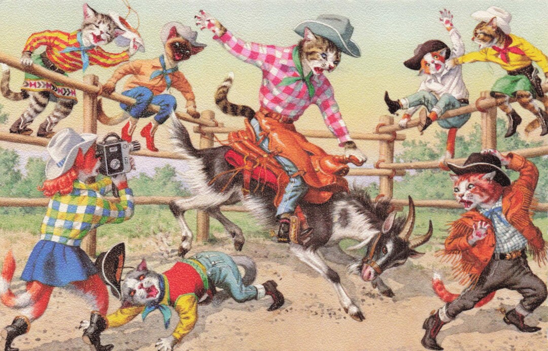 Vintage Alfred Mainzer Cats Rodeo Postcard — Cowboy Kitty Rodeo Chaos ...