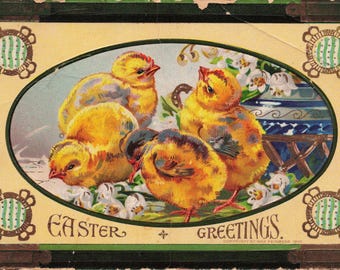 Antique 1914 Easter Postcard – Adorable Chicks & White Flowers | Max Feinberg 1910 Copyright